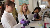 Four researchers review data on a paper in a lab.